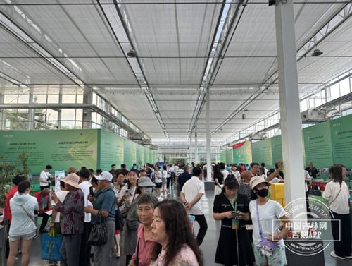 農(nóng)博會(huì)之旅 探訪科技小院，體驗(yàn)農(nóng)業(yè)新質(zhì)生產(chǎn)力與教育科技的融合